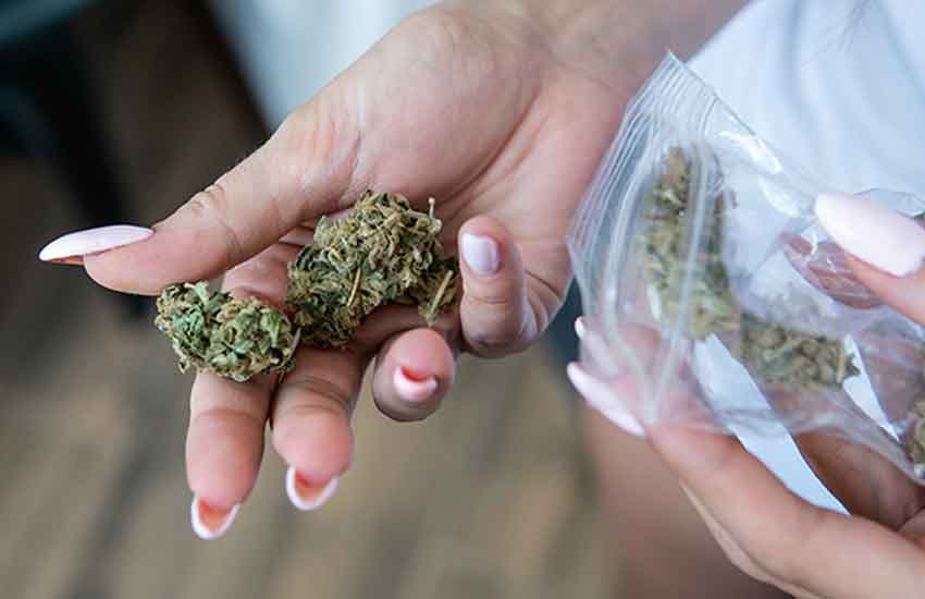 Cannabis Products Guide Altitude Dispensary